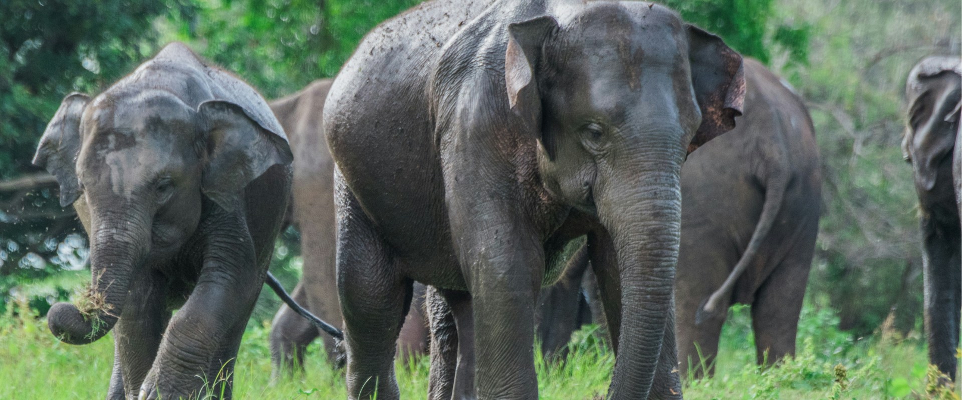 1920x800px for slider(1)