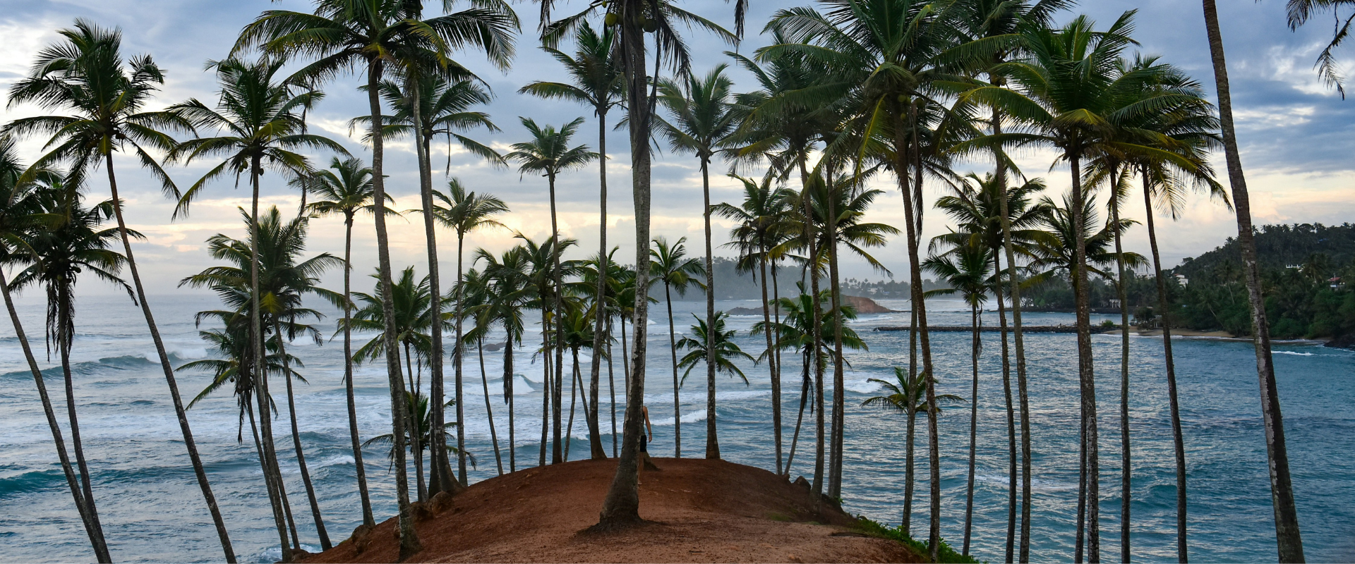 1920x800px for slider(3)